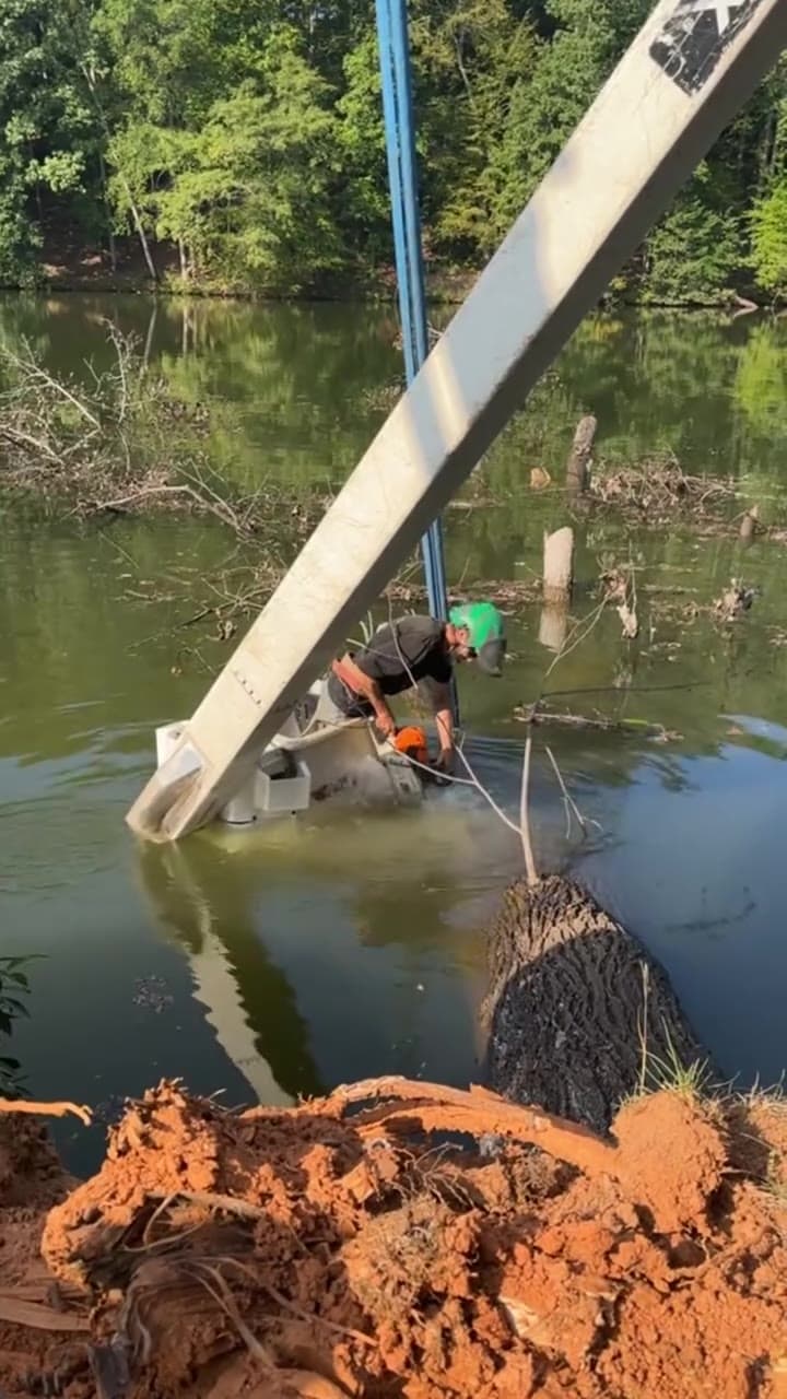 Seasoned Tree Care crew demonstrating chainsaw work around water
